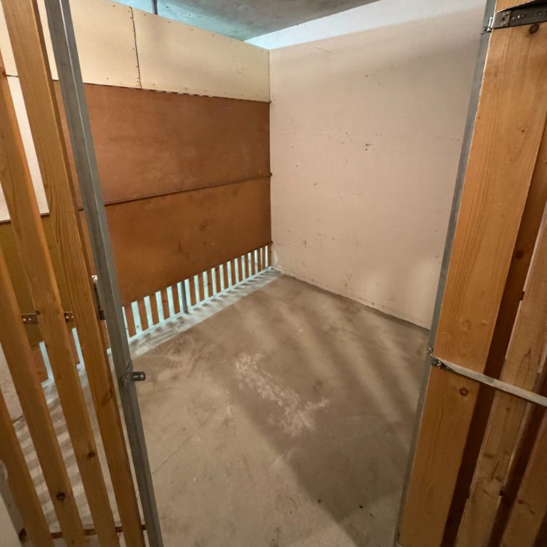 Alt-Text: Nachher-Bild eines stark zugestellten Keller in Erlangen, vor Beginn unserer professionellen Entrümpelung.